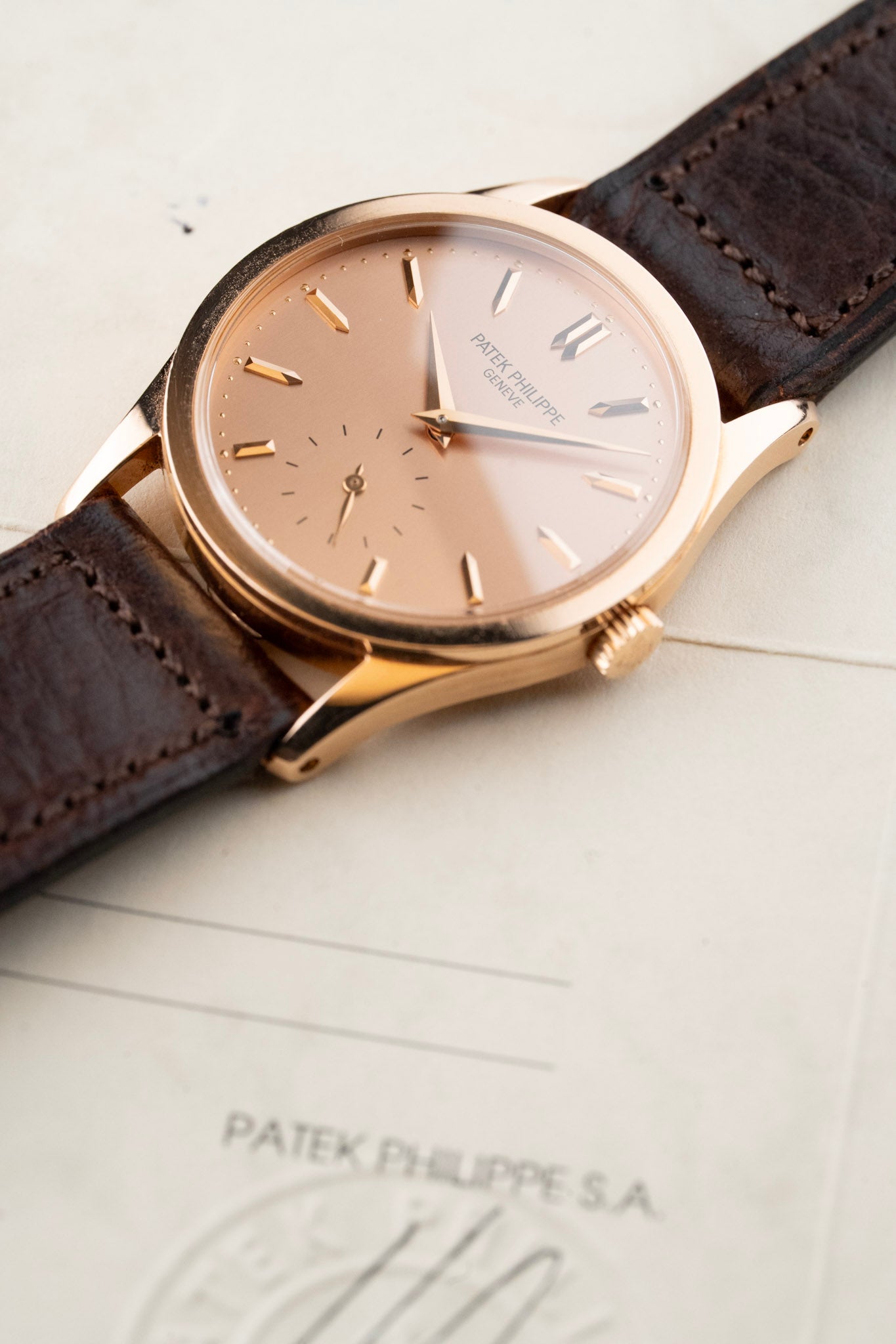 Patek Philippe ref.3796 Pink on Pink