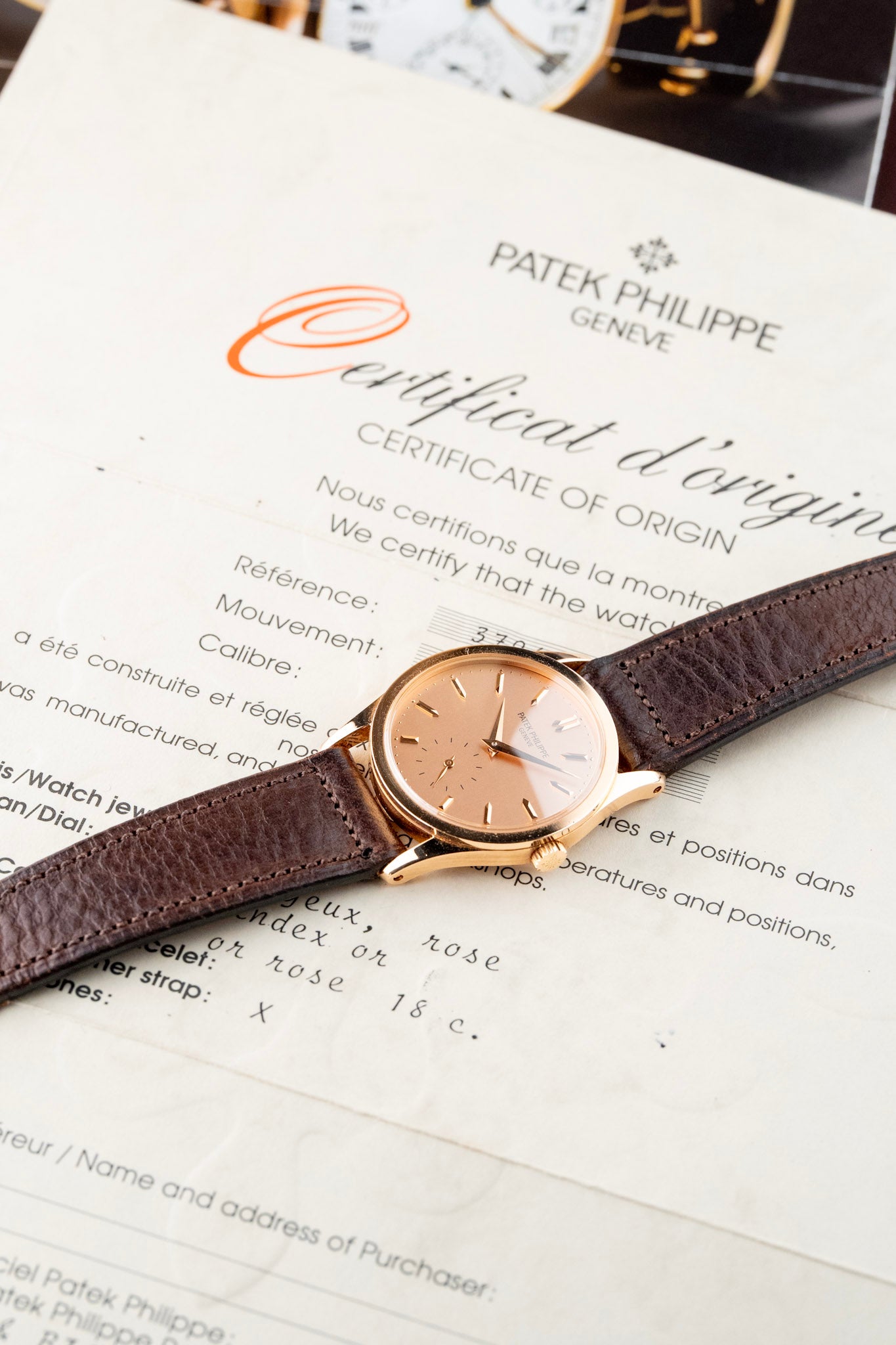 Patek Philippe ref.3796 Pink on Pink